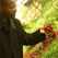 Diabetes: Managing Your Condition