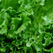 Detoxing: The Big Clean